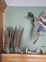 20240112_135010 (1).jpg