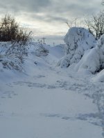 Resized_20221224_154550 (1).jpeg