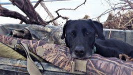 oldtimer.jpg oldtimer.jpg