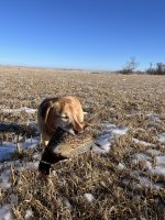 IMG_8800.jpeg IMG_8800.jpeg