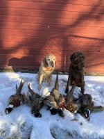 IMG_8802.jpeg IMG_8802.jpeg