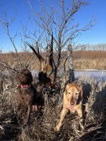 IMG_8811.jpeg IMG_8811.jpeg