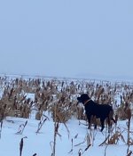 IMG_9512.jpeg IMG_9512.jpeg