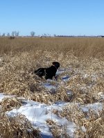 IMG_9473.jpeg IMG_9473.jpeg