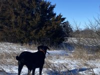 IMG_9448.jpeg IMG_9448.jpeg