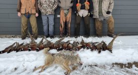 IMG_0182.jpeg IMG_0182.jpeg