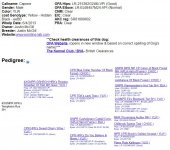 2024-02-07 11_45_35-Labrador retriever Pedigree of 4XGMPR HPK’s Templeton Rye SH.jpg