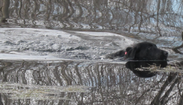 Screenshot 2024-02-10 182007.png