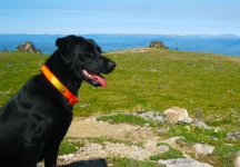 Screenshot 2023-07-27 161603.png