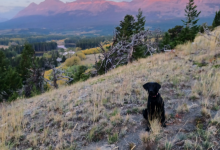 Screenshot 2023-09-21 044856.png