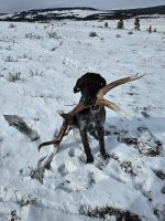 1000005022.jpg 1000005022.jpg