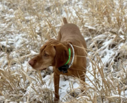 Screen Shot 2024-04-01 at 1.09.19 PM.png