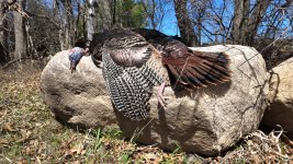 dji_mimo_20240421_135410_0_1713727499383_photo.jpg dji_mimo_20240421_135410_0_1713727499383_photo.jpg