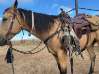 Boone with Sage Grouse.jpg
