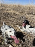 1723631449700.jpeg 1723631449700.jpeg