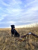 1C6C6011-15BC-490E-8E98-4973DD8DD940.jpeg 1C6C6011-15BC-490E-8E98-4973DD8DD940.jpeg