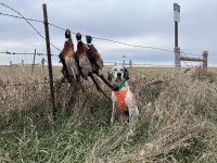 IMG_5496.jpeg IMG_5496.jpeg