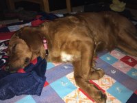 IMG_34781.jpg IMG_34781.jpg