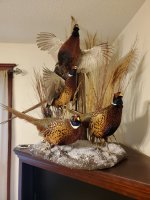 birds right.jpg birds right.jpg