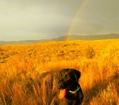 rainbow.jpg rainbow.jpg