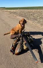 IMG_5177.jpeg IMG_5177.jpeg