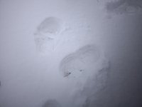 IMG_20241219_103027.jpg IMG_20241219_103027.jpg