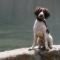 Steelshot Loaded Gun