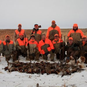 Turkey Creek Kennels - Indiana - American Brittany's