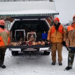 Turkey Creek Kennels - Indiana - American Brittany's