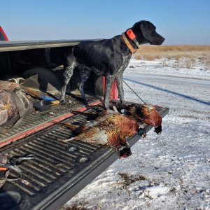 1.8 birds with Gus.jpg