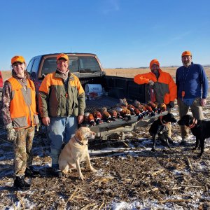 12-18 birds with cousins.jpg