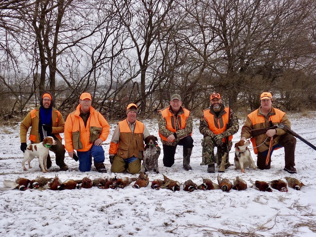 1-12-18 Turkey Creek Kennels - Indiana _America Brittany's Guided Hunt Results.jpg