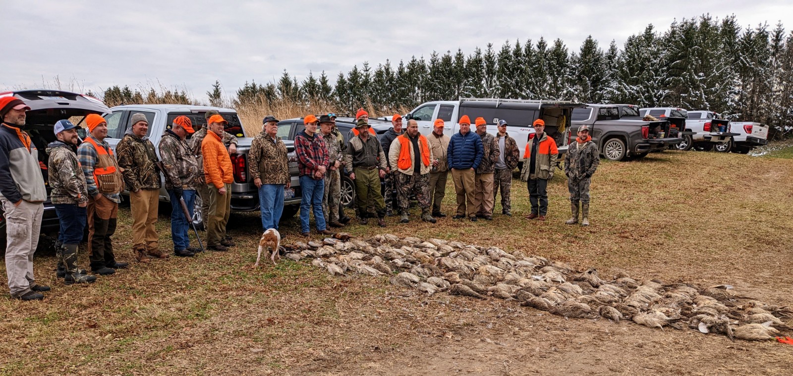 Rolling Hills Pheasant Preserve "Guided Tower Hunt" - 250 Cast 196 Retrieved 11-2022