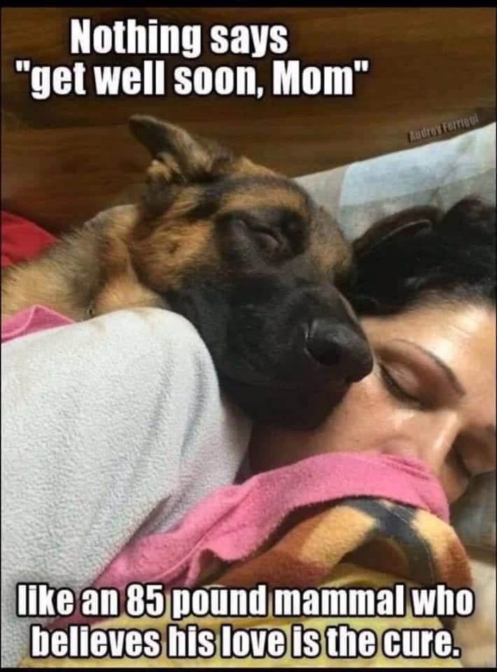 7bdc0b1f-1c0c-416a-9b30-62bddcf1a88d-jpeg.325945