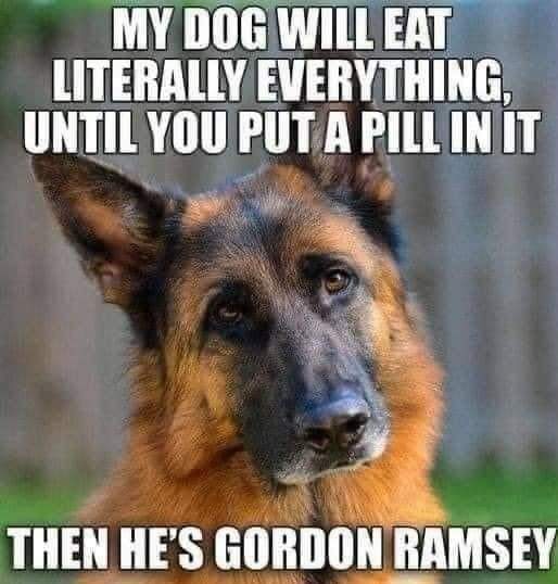 fb_img_1641413449998-jpg.324056