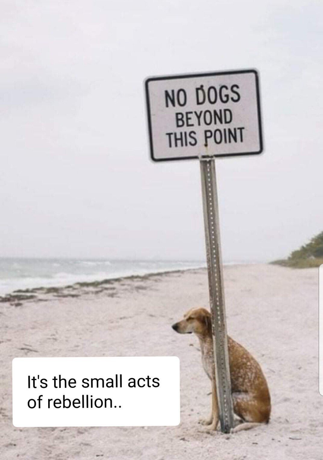 10b1439bfbadf2c3-jpeg.325620