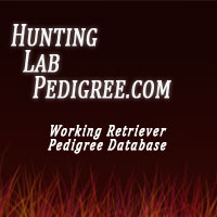 www.huntinglabpedigree.com