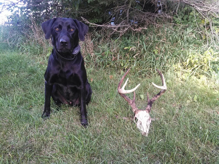 3ayeGJbFJTYV4mxlS89U9-V8RH31H0gCDiizXRXQXgw=w859-h644-no