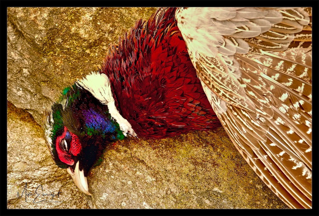 DSC01259 2_Fotor.jpg