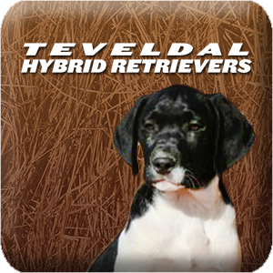 hybridretrievers.com