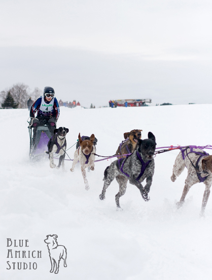 Sled_Dogs_0046.jpg